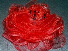 Srdíčko s bílou mašlí