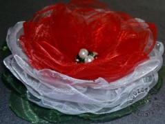 Srdíčko s bílou mašlí