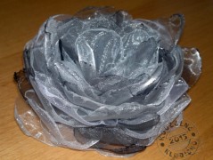 Srdíčko s bílou mašlí