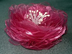 Srdíčko s bílou mašlí