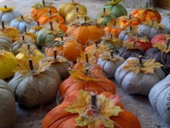 Srdíčko s bílou mašlí