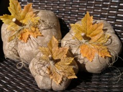 Srdíčko s bílou mašlí