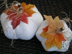 Srdíčko s bílou mašlí