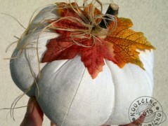 Srdíčko s bílou mašlí