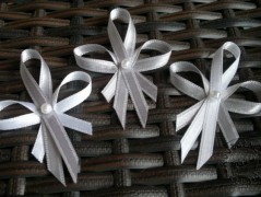 Srdíčko s bílou mašlí