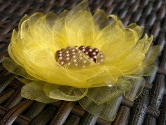 Srdíčko s bílou mašlí