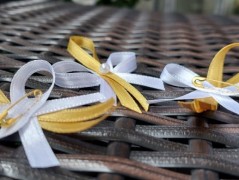 Srdíčko s bílou mašlí