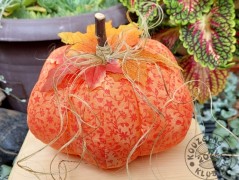 Srdíčko s bílou mašlí