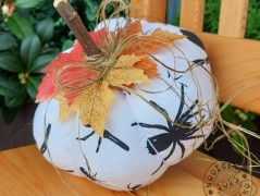 Srdíčko s bílou mašlí