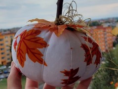 Srdíčko s bílou mašlí