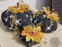 Srdíčko s bílou mašlí