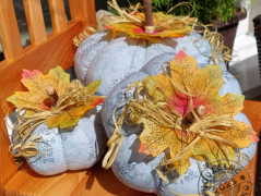 Srdíčko s bílou mašlí