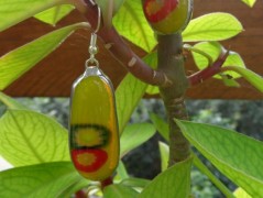 Sluncem zalitý dvůr