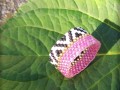 Anillo 