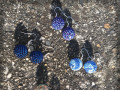 Náušnice Bubbles no.2