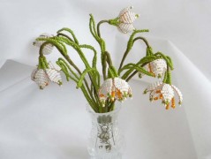 Korálková lilie - vínová