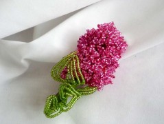 Korálková lilie - vínová