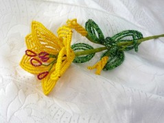 Korálková lilie - vínová