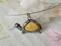 Korálková lilie - vínová