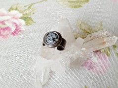 Korálková lilie - vínová