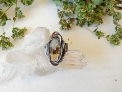 Korálková lilie - vínová