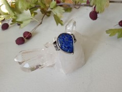 Korálková lilie - vínová