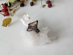 Korálková lilie - vínová