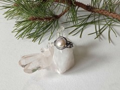 Korálková lilie - vínová