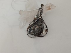 Korálková lilie - vínová