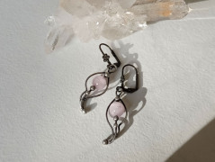 Korálková lilie - vínová