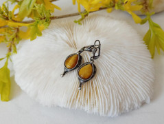 Korálková lilie - vínová