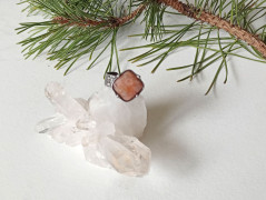 Korálková lilie - vínová