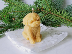 Korálková lilie - vínová