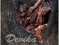 Srdce po vodě pouštím