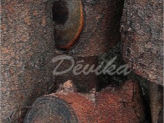 Srdce po vodě pouštím