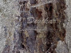 Srdce po vodě pouštím