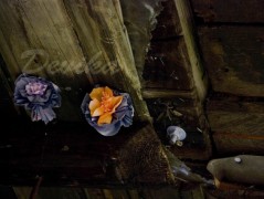 Srdce po vodě pouštím