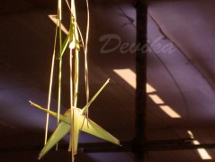 Srdce po vodě pouštím