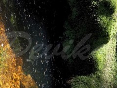 Srdce po vodě pouštím