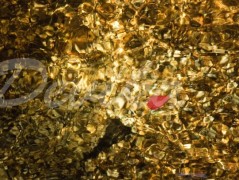 Srdce po vodě pouštím