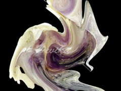 Srdce po vodě pouštím