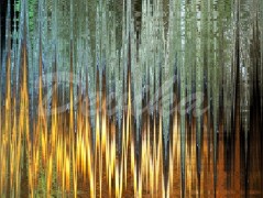 Srdce po vodě pouštím