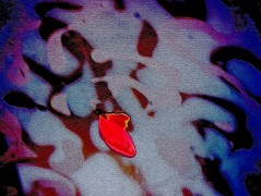 Srdce po vodě pouštím