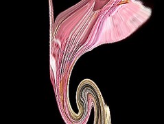 Srdce po vodě pouštím