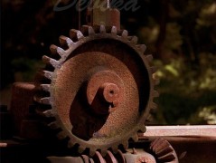 Srdce po vodě pouštím