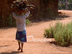 Srdce po vodě pouštím