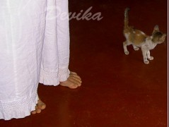 Srdce po vodě pouštím