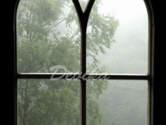 Srdce po vodě pouštím