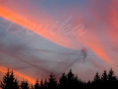 Srdce po vodě pouštím