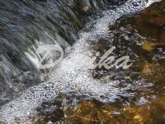 Srdce po vodě pouštím